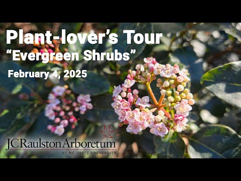 Plant-lover's Tour - "Evergreen Shrubs"