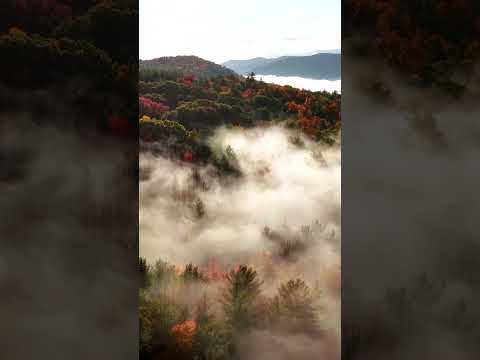 Fall in the Catskills…