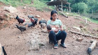 Breastfeeding and Daily Life on a Pig and Chicken Farm in Vietnam