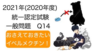 一般14 2021 『イベルメクチン』愛玩動物看護師国家試験対策