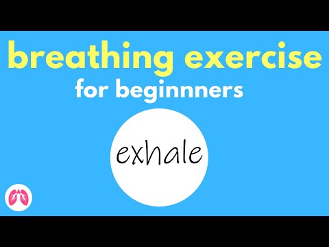 Deep Breathing Exercise for Beginners | TAKE A DEEP BREATH