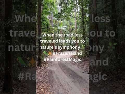 Journey Down a Dirt Road in the Lush Rainforest of #fraserisland #tranquility