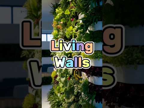 Living walls as business