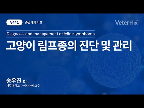 [베터플릭스][종양 내과 기초] 고양이 림프종의 진단 및 관리(Diagnosis and management of feline lymphoma)