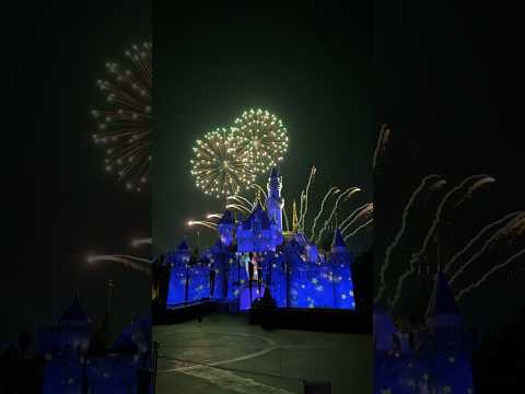 Disney fireworks #youtubeshorts  #shorts #disney