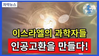 [자막뉴스]이스라엘의 과학자들 인공고환을 만들다 / 월리나