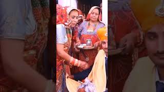 shekhawati marriage nandoi tika rasam #rajasthani #culture #Nandoi ji song #rajasthani #shekhawati