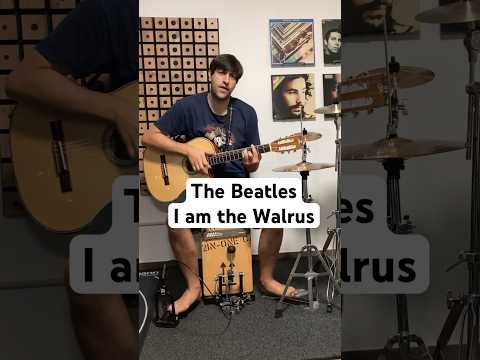 I am the walrus beatles cover #onemanband #acoustic #beatles #thebeatles #beatlescover #beatleslove