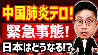 日本国憲法改正で中国肺炎テロにも対抗できる？国家緊急権がない日本の末路 / タケシ弁護士