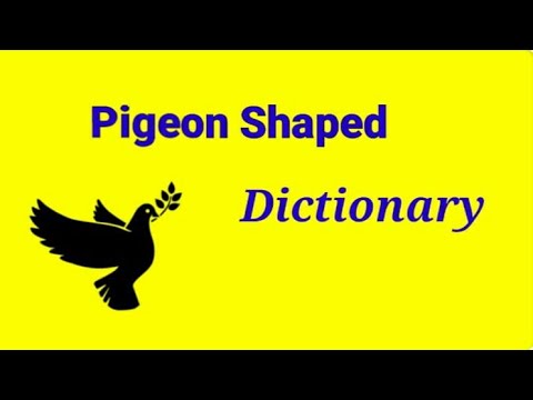 Pigeon Shaped Dictionary | Craft work | School Project