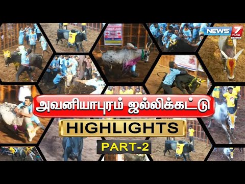 அவனியாபுரம் ஜல்லிக்கட்டு HIGHTLIGHTS | Avaniyapuram Jallikattu 2025