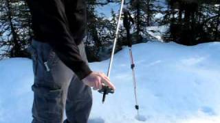 Black Diamond Trail Trekking Poles