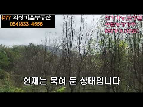 #77 의성가음부동산 계곡입구 남향 전망좋은 묵은밭 682평 4500만 (당6.5만원) 급매 전기가능 차진입쉽고 조용한곳 쉼터 농막설치 주말농장용 #의성땅#의성토지