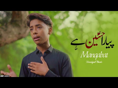 Pyara Hussain Hai || Daniyal Yasir || Tna Records