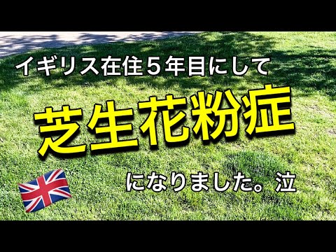 【イギリス生活】芝生花粉症デビューで手抜き夕飯作り