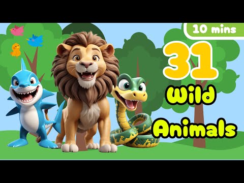 Wild Animals | Animal names in english | kids learning videos