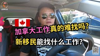 加拿大工作真的难找吗？新移民能做什么工作？｜加拿大移民｜留学移民｜新移民｜#S哥聊枫叶国