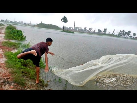 বর্ষায় গণ বৃষ্টি মাঠে জাল দিয়ে খুচরা মাছ শিকার | Amazing village fishing | Rainy day fishing