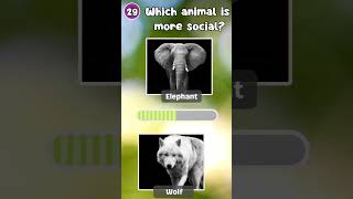 "How Good Is Your Knowledge of Animals? 🐾 Test Yourself Now!"|The Quiz Show