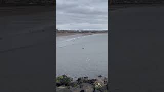 Ayr Beach #ayr #beach #scotland