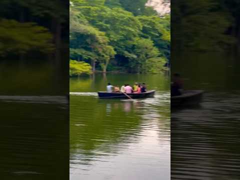 Boat ride in lake #blog #nature #varanasi #travelvideo #motivation #vlog #zootrain #travelvlog