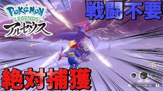 【ポケモンアルセウス】戦闘不要で誰でも「オヤブン」を100%捕まえる方法