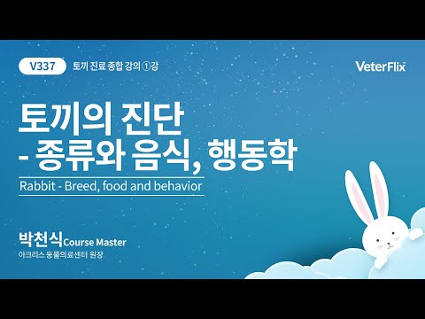 [베터플릭스][토끼 종합 진단 과정] 토끼의 종류와 음식, 행동학(Rabbit-Breed,food and behavior)