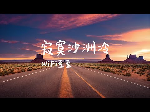 寂寞沙洲冷-WiFi歪歪【时见幽人独来往，缥缈孤鸿影，拣尽寒枝不肯栖，寂寞沙洲冷！】