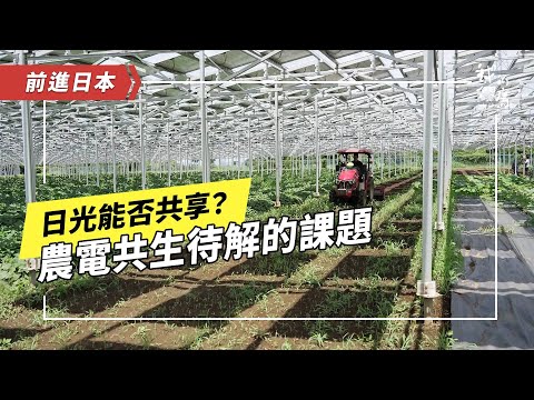 《日光能否共享？》中：農作物在光電板下長得好嗎？日本也有假種田、真種電的亂象嗎？ (公視我們的島 第1284集 2024-12-02)