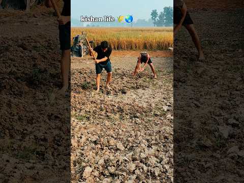 Kishan life 🌾🌏#farming #hardworkout #fitness #motivation #gym #ytshorts #viralshorts