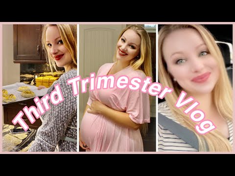 Third Trimester HOUSEWIFE Pregnancy VLOG