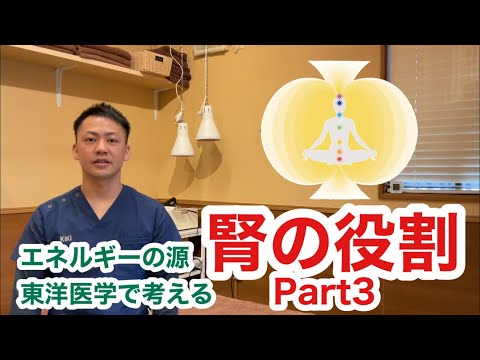 『東洋医学』腎の役割について〜Part3〜