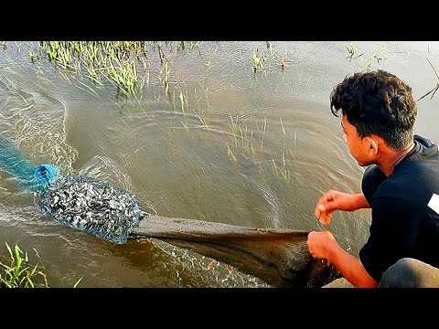 net fishing video village boy catch fish