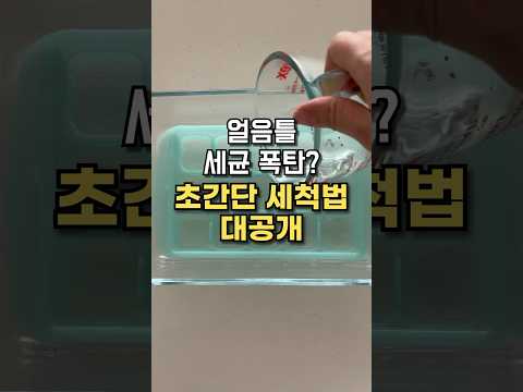 얼음틀 세균폭탄 초간단 세척법 대공개 식초