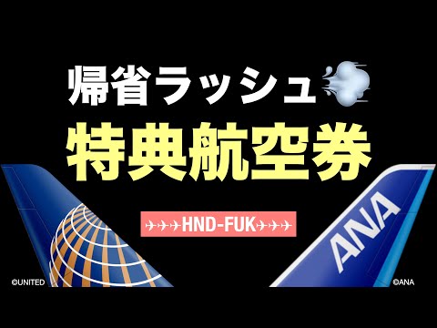 ANA国内線をUNITEDマイルで予約する【特典航空券】