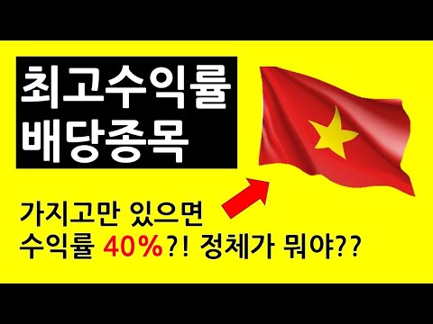 배당수익률 40%?!! 최고수익률 배당종목! / 정체가 뭘까?!!