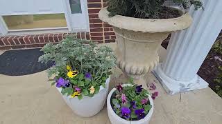 Front Garden Update/ Clean Mulch/ Tree Trimming 🌳 [ Zone 7B Gardening Waldorf MD.]