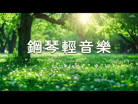 「無廣告版」願你此刻得享安寧,流水鋼琴輕音樂 🎵 緩解壓力，釋放內心焦慮，帶來寧靜與平和， 讓心靈放鬆，輕鬆進入深度睡眠，幫助緩解焦慮與煩躁，讓身心得到徹底放鬆，提升幸福