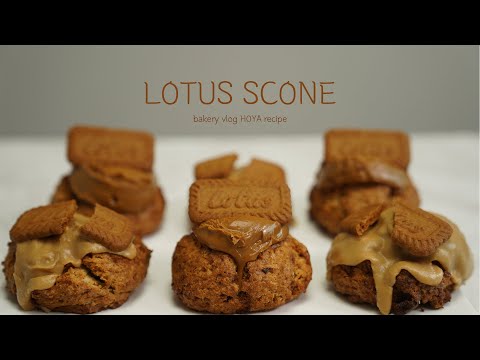 로투스 스콘 만들기 | LOTUS SCONE Baking Vlog | HOYA TV🌿