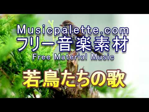 BGM 340フリー音楽素材（使用料無料）「若鳥たちの歌」Musicpalette