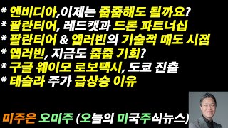 [오늘의 미국주식뉴스] 엔비디아,이제는 줍줍해도 될까요? / 팔란티어 & 앱러빈의 기술적 매도 시점 / 구글 웨이모 로보택시, 도쿄 진출 / 테슬라 주가 급상승 이유