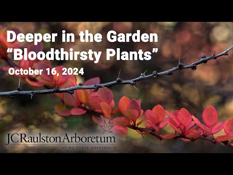 Deeper in the Garden - "Bloodthirsty Plants"