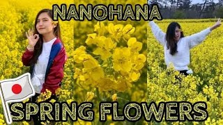 NANOHANA | SPRING FLOWERS | rhisne villamor YTC