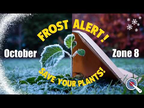 October Frost Protection Tips for Zone 8 Plants!