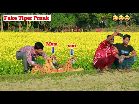 Best of Fake Tiger Prank in 2022! - 2 Tiger 1 Mom - 1 son - So Funny Reaction | Try to Not Laughing