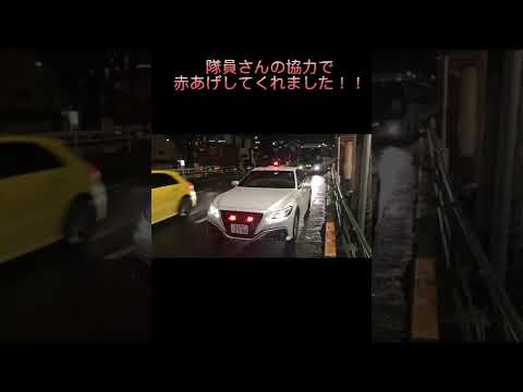 超最新覆面パトカー220系クラウン！！ #shorts