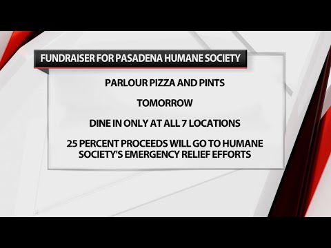 Parlour Pizza holding fundraiser for humane society in California