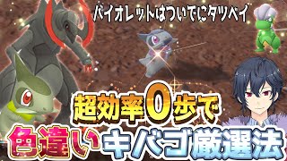 【ポケモンSV】本当は教えたくない色違いキバゴ超高速厳選方法【ポケモンスカーレットバイオレット】