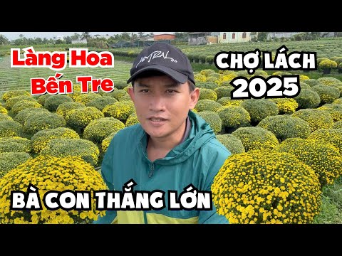 Làng Hoa Chợ Lách Bến Tre “Xôn Xao Tết 2025” Bà Con Vui Mừng Trúng Đậm Mùa Hoa Tết