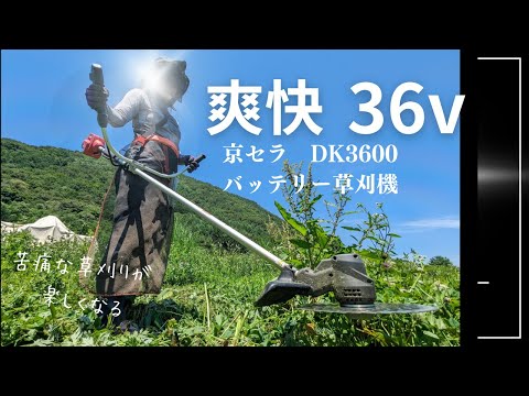 マキタ沼も迷う 軽くてパワフルな36Vバッテリー草刈機に出会いました 2023年新型　京セラ DK3600 バッテリー草刈機　刈払機